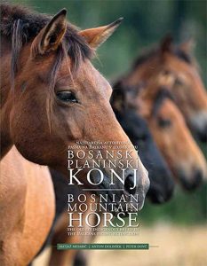 Bosnisches-Pferd-english