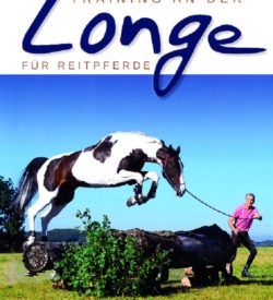 Training an der Longe für Reitpferde