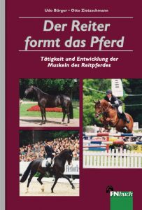 Der Reiter formt das Pferd