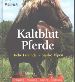 Kaltblutpferde