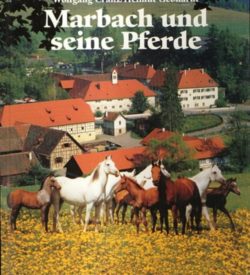 Marbach und seine Pferde