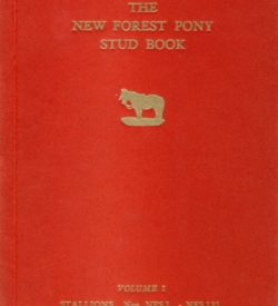 New Forest Pony Stud Book