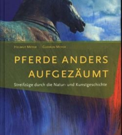 Pferde anders aufgezäumt