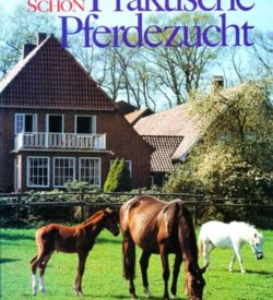 Praktische Pferdezucht