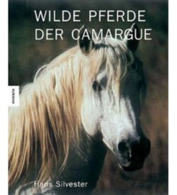 Wilde Pferde der Camargue