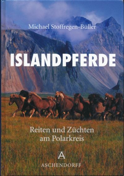 Islandpferde