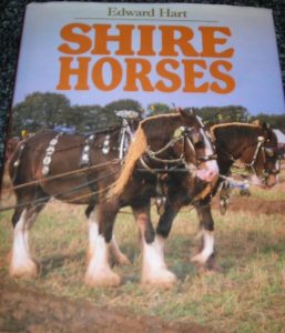 Shire Horses