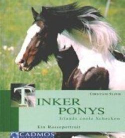 Tinker Ponys: Irlands coole Schecken