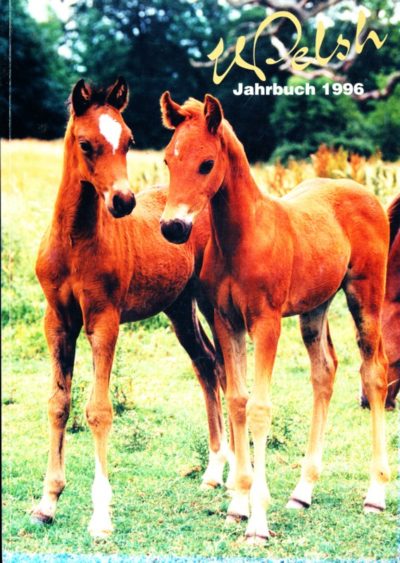 Welsh Jahrbuch 1996