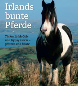 Irlands bunte Pferde