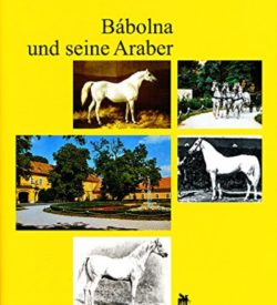 Babolna und seine Araber