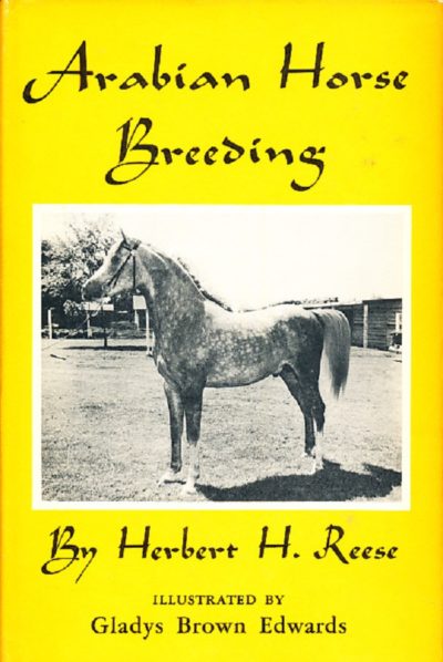 Arabian Horse Breeding