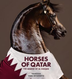 Horses of Qatar The Legend of al Shaqab
